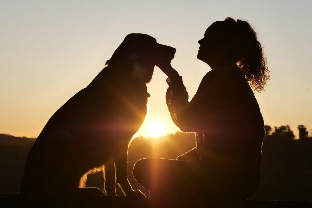 woman with a dog and a sunrise